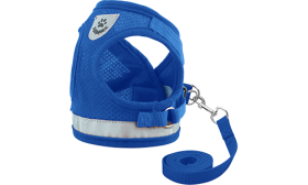 Conjunto de peitoral e trela refletivos para cães