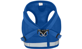 Conjunto de peitoral e trela refletivos para cães