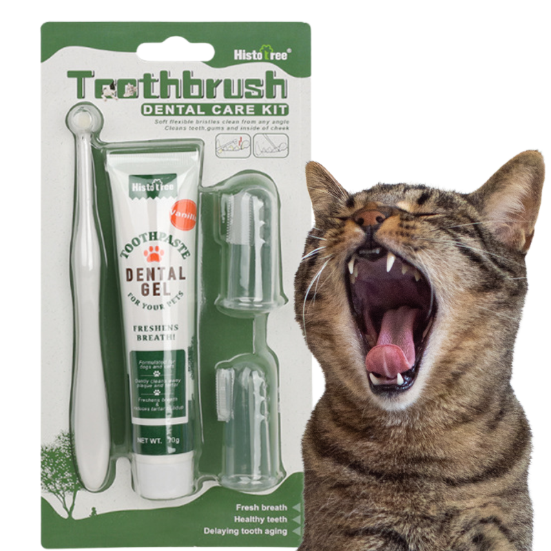 Conjunto Completo de Cuidados orais para Gatos: escova de dentes, 2 escovas de dedos e pasta de dentes de baunilha Conjunto Completo de Cuidados orais para Gatos: escova de dentes, 2 escovas de dedos e pasta de dentes de baunilha
