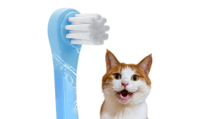 Escova dentária azul para gatos com cerdas suaves e eficazes e cabo ergonómico para limpar gengivas delicadas.