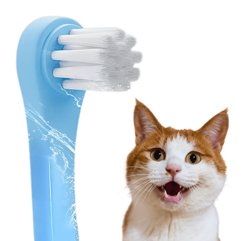 Escova Dental Suave para Gatos com Cerdas de Nylon Macias Escova Dental Suave para Gatos com Cerdas de Nylon Macias