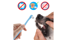 Escova dentária azul com cabeça arredondada e cerdas suaves, feita para cuidados dentários de gatos e cães.