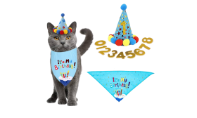 Conjunto azul de bandana de aniversário para gatos com bandana macia e chapéu personalizável com números para marcar marcos.