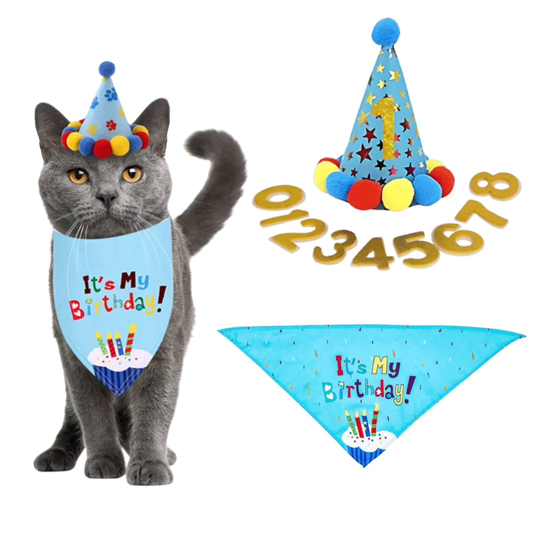 Conjunto de Lenço Bandana para Aniversário de Gato Conjunto de Lenço Bandana para Aniversário de Gato