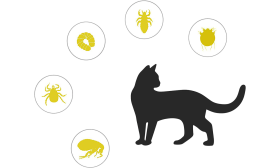 Coleira Antipulgas e Carraças Natural para Gatos