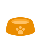 Outros acessórios para gato - Medalhasgatos.pt